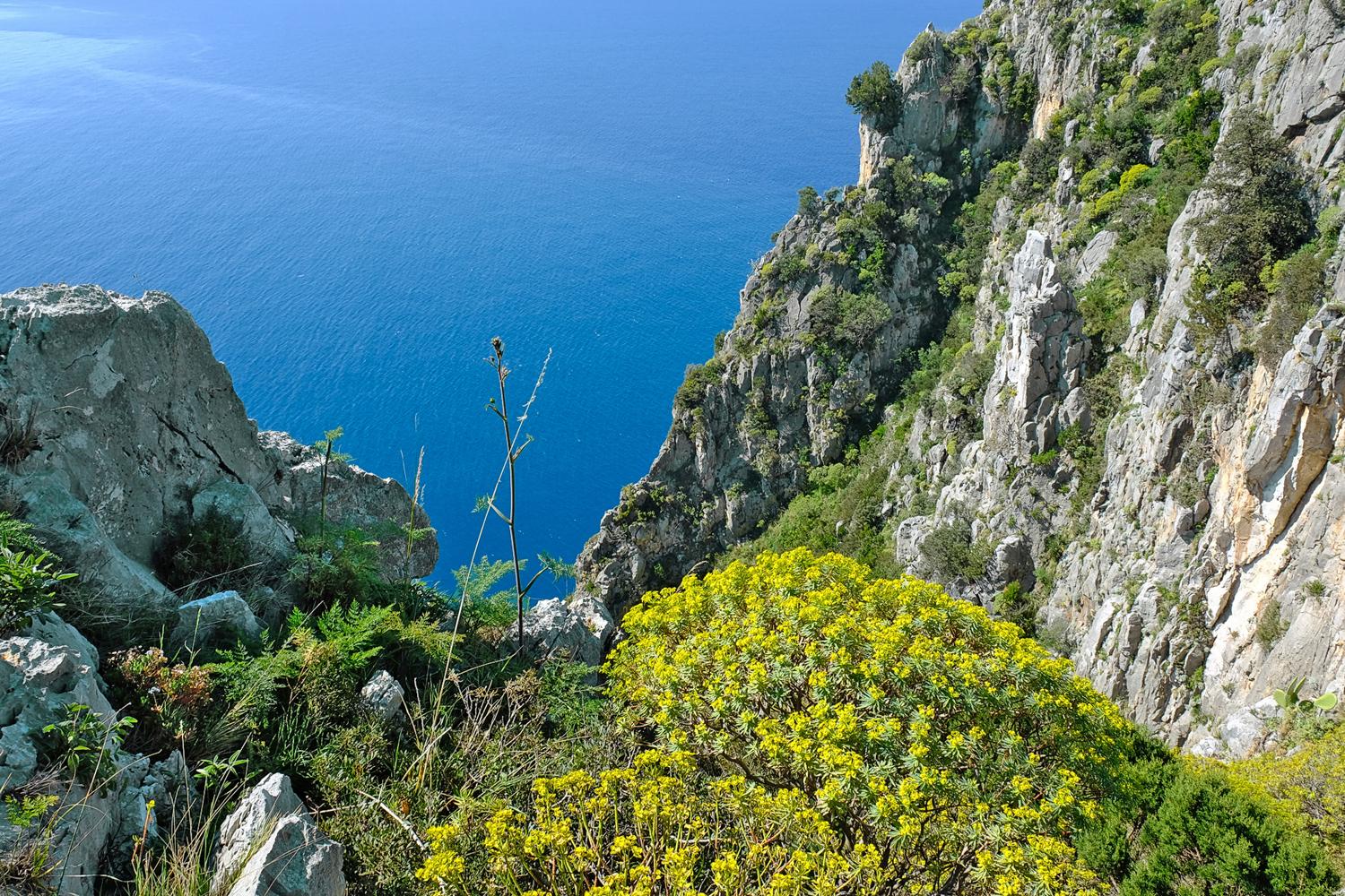 Viel Gestein und Macchia auf dem Kap von Palinuro.