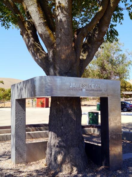 James Deans »Himmlischer Baum des Lebens« beim Jack Ranch Café in Cholame. (Foto: Volker Feser)