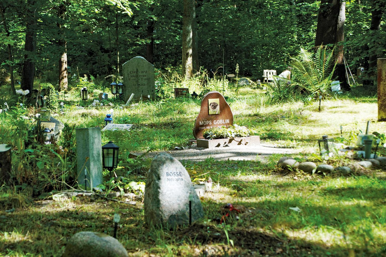 Ruhestätte seit 1870: Tierfriedhof 