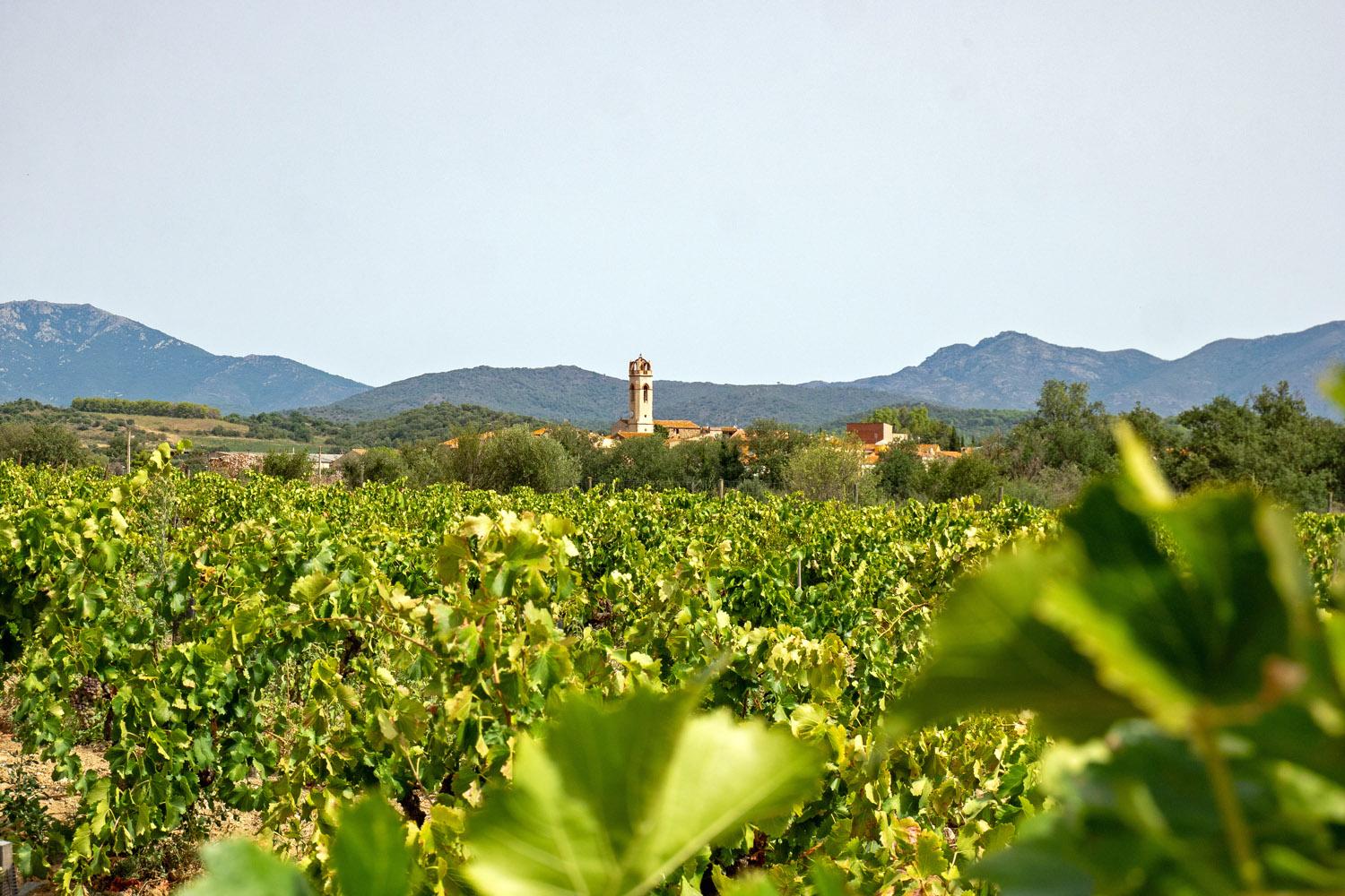 Das Weingut La Vinyeta liegt idyllisch