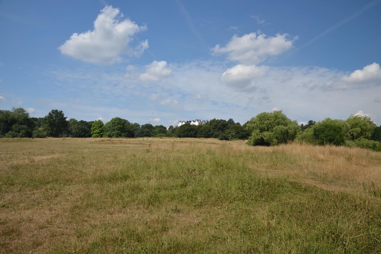 Der Park Hampstead Heath erinnerte Literaturnobelpreisträgerin Doris Lessing ans afrikanische Buschland (Foto: Ralf Nestmeyer)