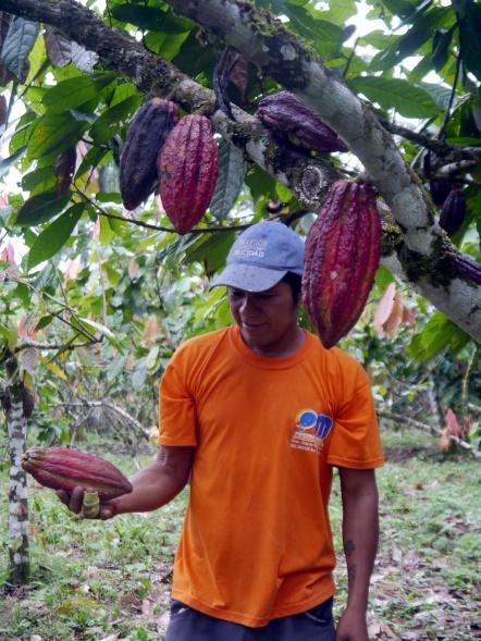 Ein Kakaobauer und die Früchte seiner Arbeit (Foto: Volker Feser)