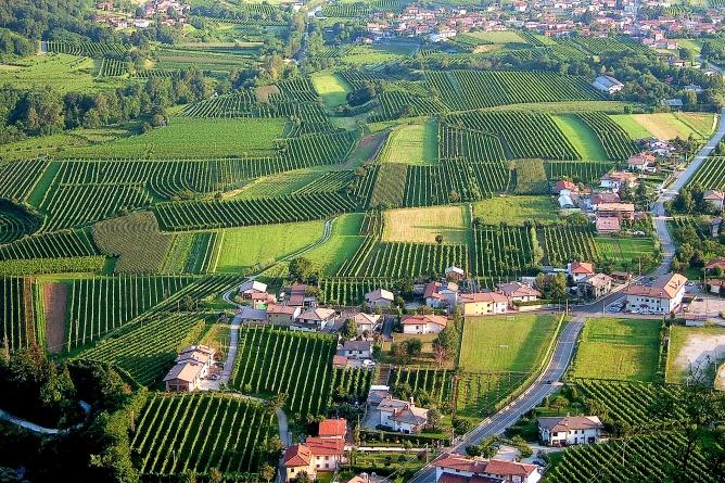 Die Weinbauhügel des Friaul im Blick (Foto: Eberhard Fohrer)