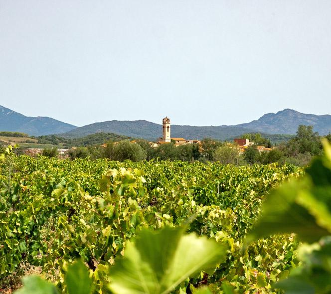 Das Weingut La Vinyeta