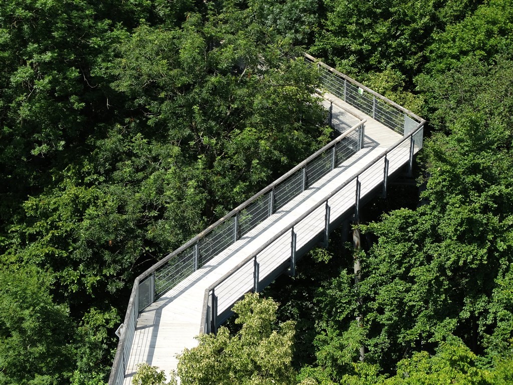 Urwald mit Aussicht: der Hainich in Thüringen @ Heidi Schmitt