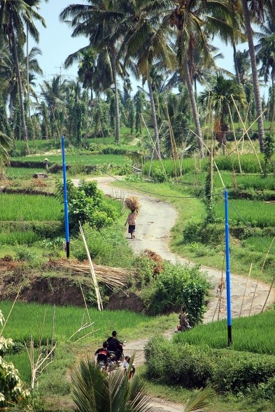 Ein kleines Paradies in Tetebatu (Foto: Susanne Beigott)