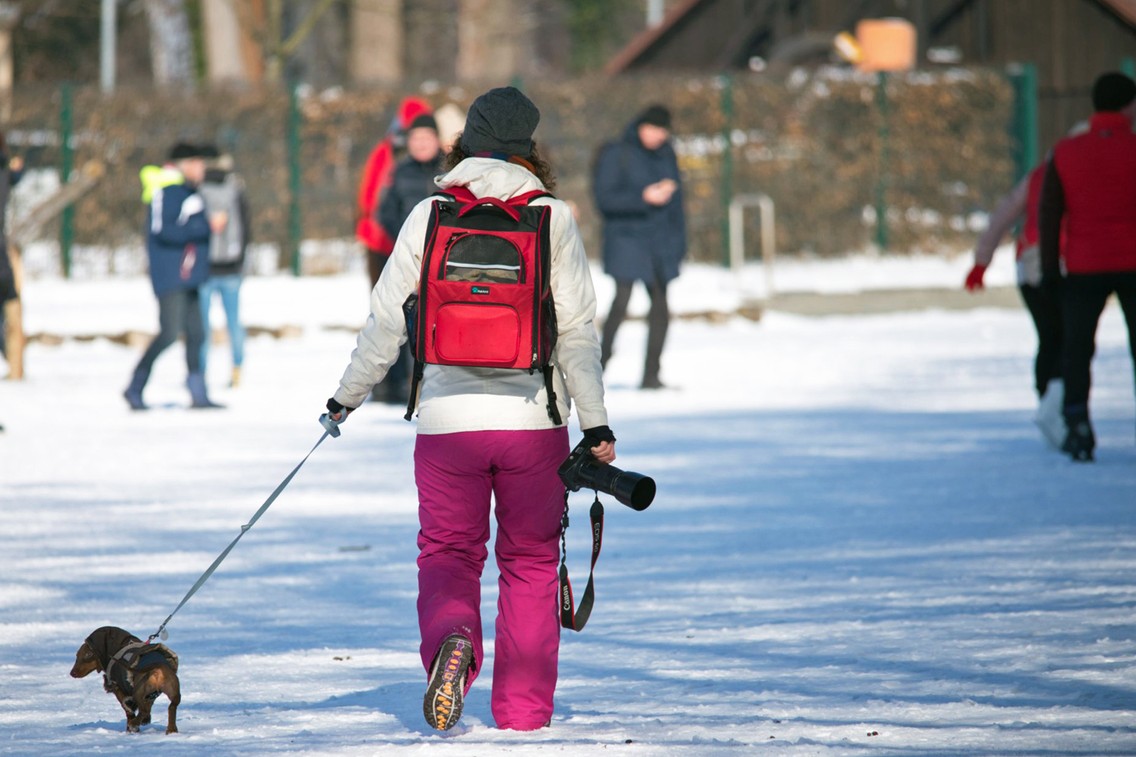 Eine Autorin und ihr Dackel – Peggy Leiverkus erkundet die zugefrorenen Spreewalder Fließe (Foto: Peggy Leiverkus)