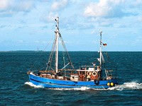 Auf zu den unbewohnten Inseln Ostfrieslands!
