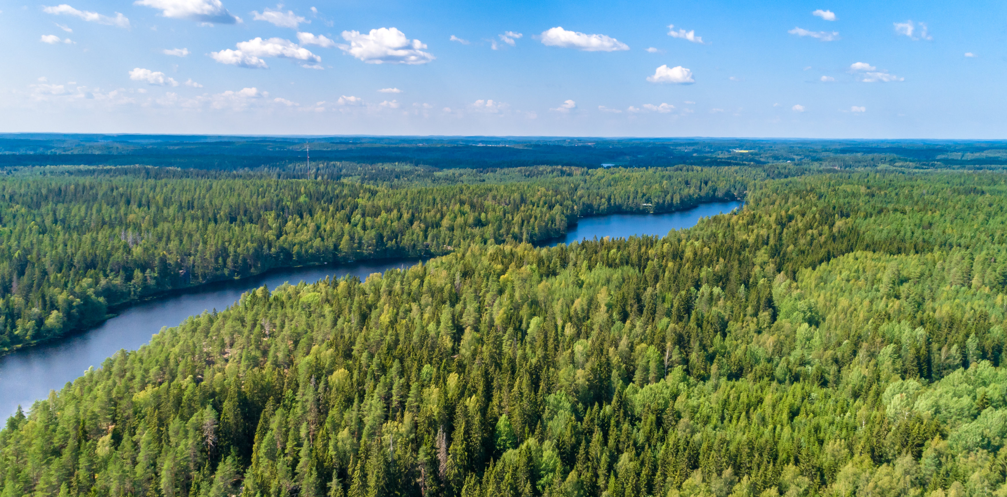Blick von oben auf grüne Wälder und blaue Seen in Finnland