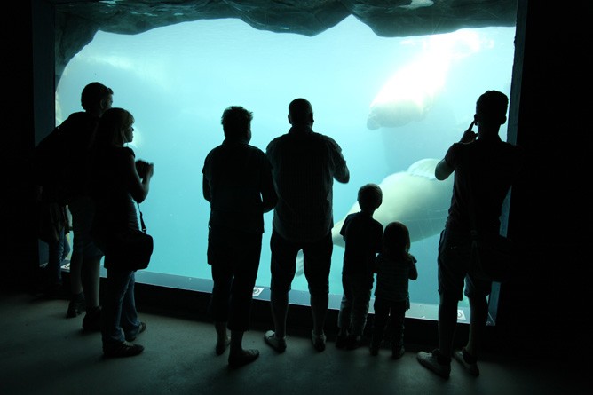 Ein Besuchermagnet ist das sehr schön gemachte Eismeer-Areal. Schade nur, dass nicht auch über die Völkerschauen gesprochen wird (Foto: Mirja Schellbach)