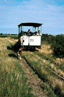 Deutschlands letzte Pferdebahn auf Spiekeroog