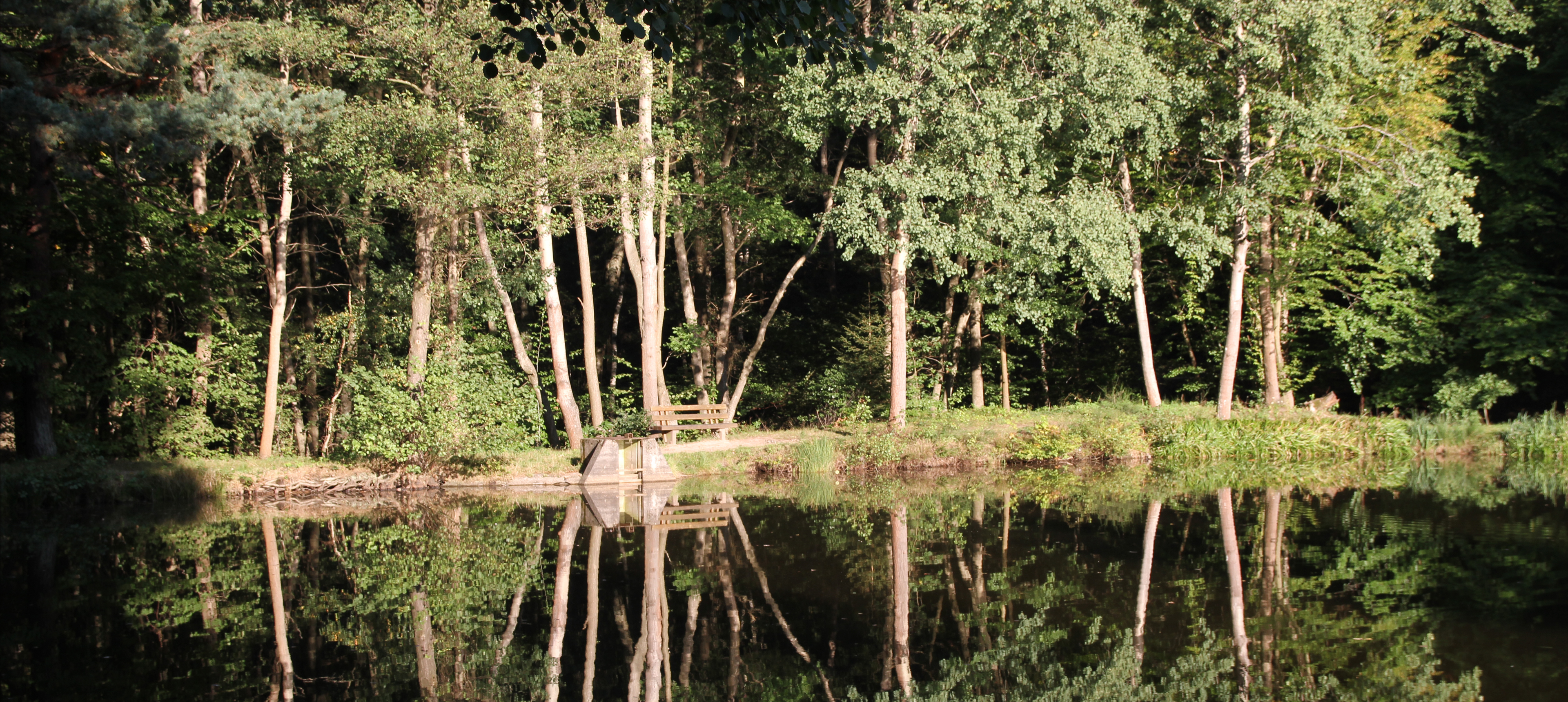 Wanderführer Pfälzerwald Michael Müller Verlag