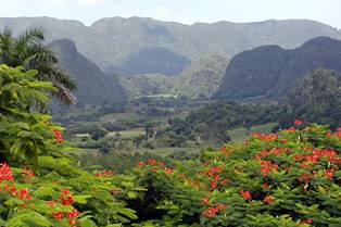 Das Tal von Viñales wurde 1999 von der UNESCO mit dem Titel »Kulturlandschaft der Menschheit« geadelt. (Foto: Wolfgang Ziegler)