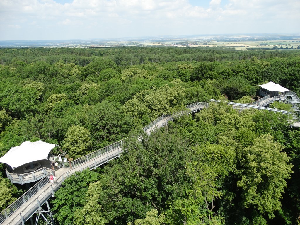 Auf dem Baumkronenpfad im Hainich @ Heidi Schmitt