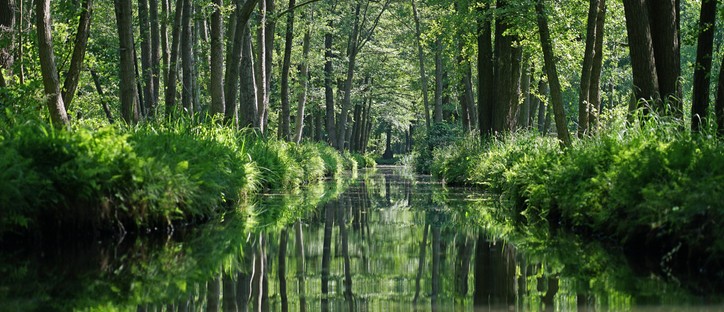 Wasserwandern und Waldbaden im III. Freiheitskanal_Copyright Peggy Leiverkus