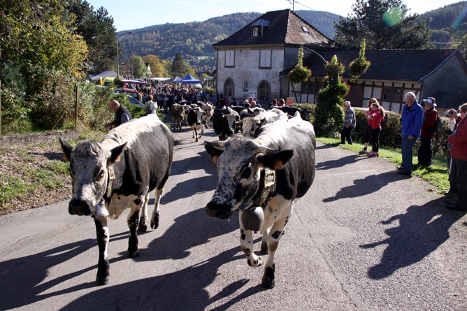 Das Fête de la Transhumance ist auch ein elsässisches Volksfest (Foto: Antje und Gunther Schwab)