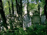 Verwunschen &ndash; der Jüdische Friedhof von Fürth