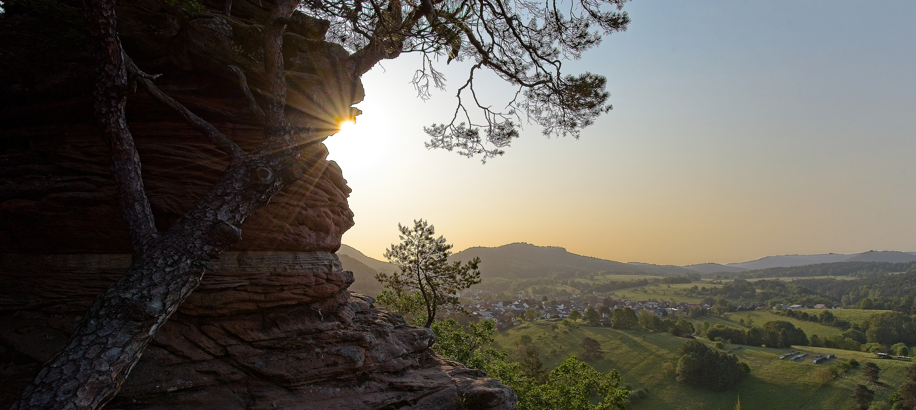 Morgenstimmung in der Südwestpfalz