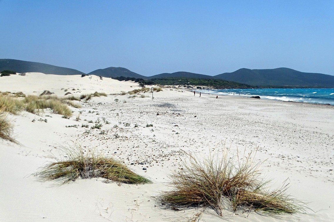 Langgezogen und legendär – der schneeweiße Dünenstrand im äußersten Südwesten Sardiniens (Foto: Eberhard Fohrer)
