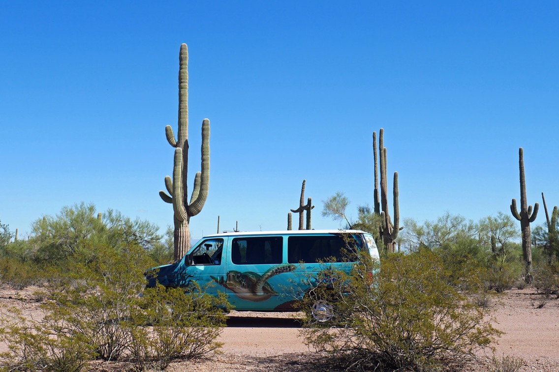 Track 6 und 7 oder Durch den zweigeteilten Nationalpark in der Nähe von Tucson_Foto Volker Feser