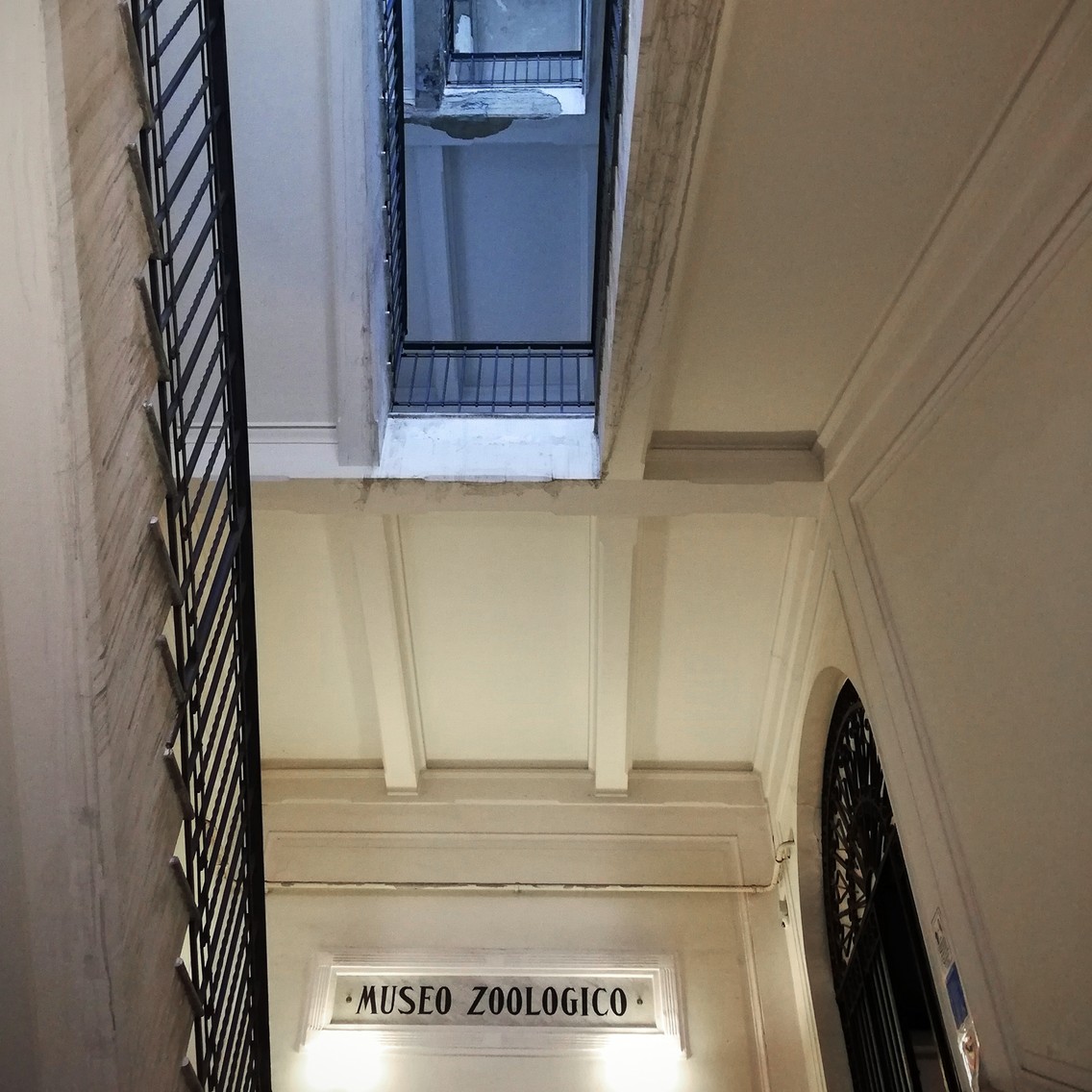 Hier gehört Verirren fast zum Konzept ... Im Treppenhaus der Universität von Neapel