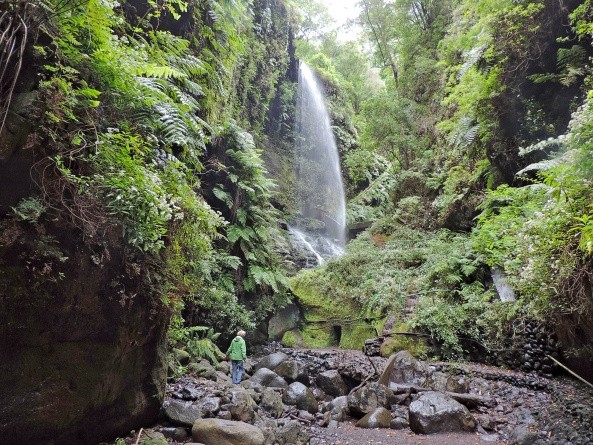 Der Wasserfall von Los Tilos (Foto: Irene Börjes)