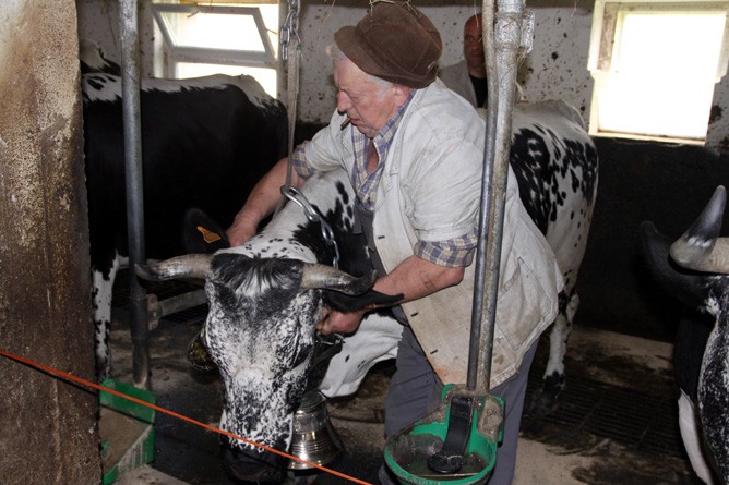 Altbauer Wehrey trifft letzte Vorbereitungen (Foto: Antje und Gunther Schwab)