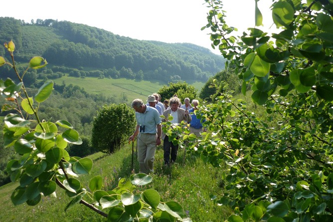 Prinz Charles inspiziert seine Blumenwiesen in Valea Zalanului (Foto: Transylvanian Castle)