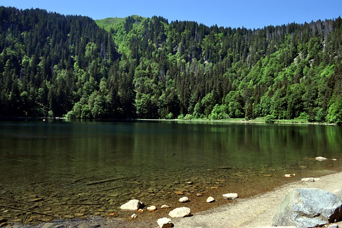 Der idyllische Feldbergsee im Schwarzwald (Foto: Bettina Forst)