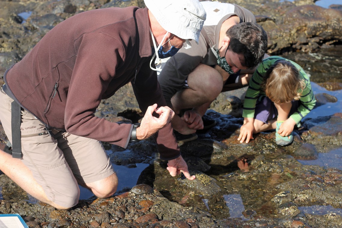 Volker Boehlke von GOMERA VIVE erzählt von den Kleinstlebewesen im Schutzgebiet Charco del Conde (Foto: Lisa Kügel)