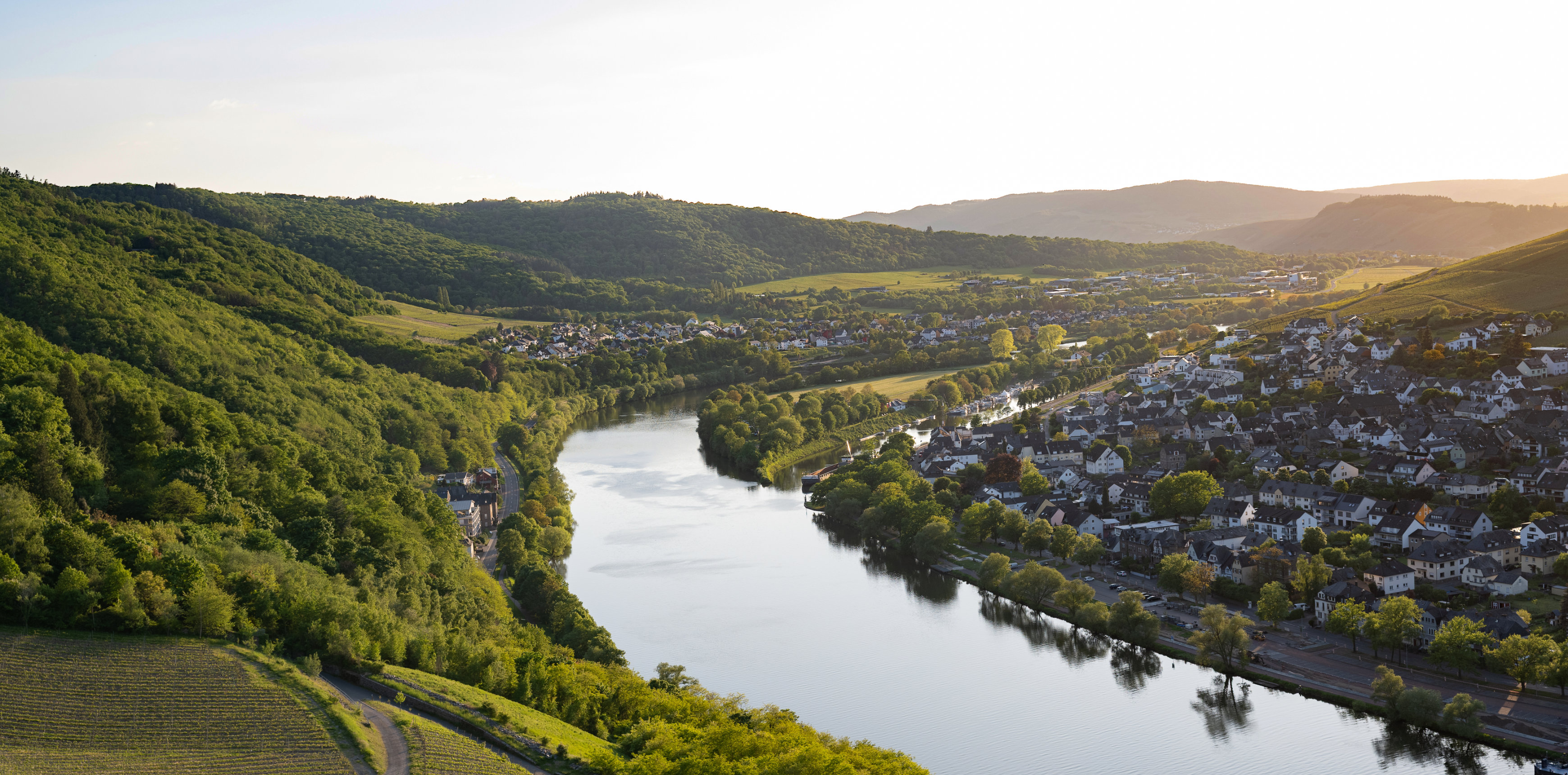 Fluss im Tal zwischen Weinbergen, bewaldeten Hügeln und einem Ort mit Häusern im Abendlicht.