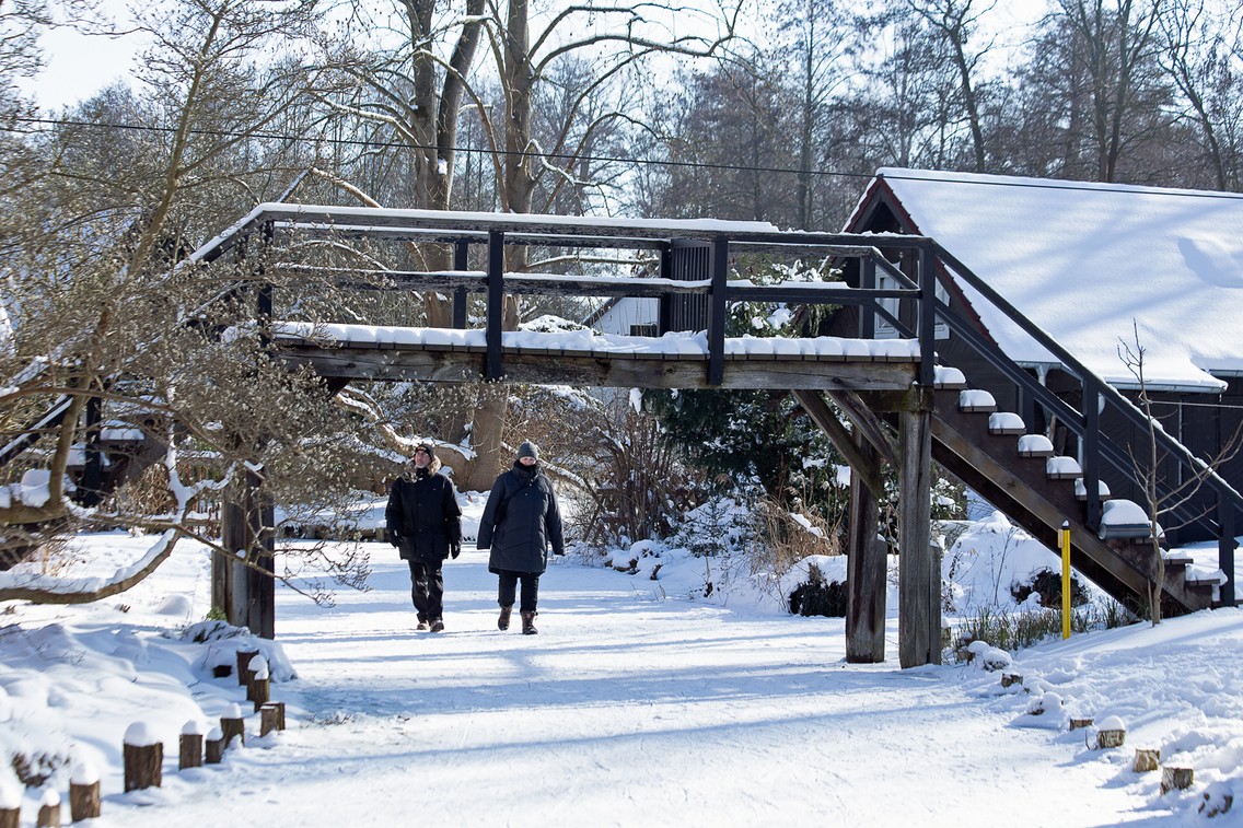 Eispilgern oder Wo man sonst paddelt, erlebt man in den kalten Monaten einen besonderen Winterzauber (Foto: Peggy Leiverkus)