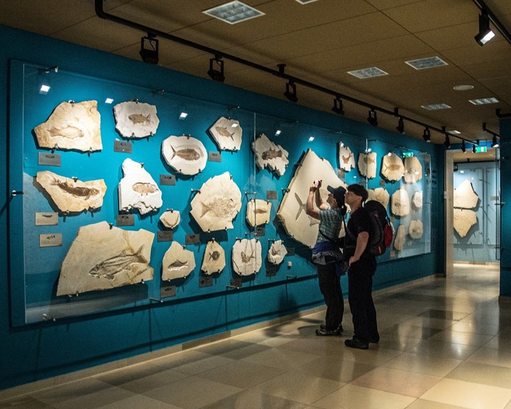Einzigartige Funde sind in den Altmühltaler Museen zu sehen @ Johann Schrenk