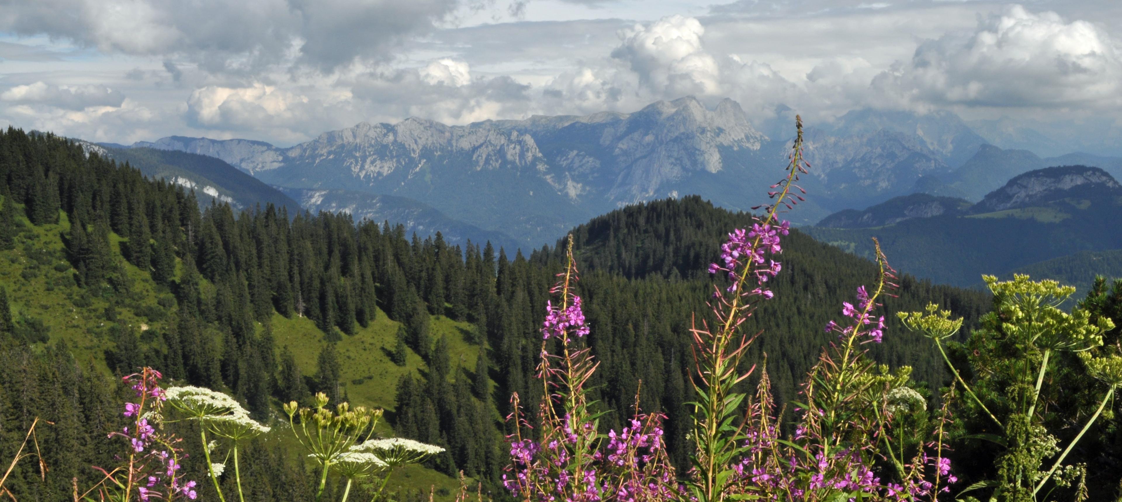 Wanderführer Chiemgauer Alpen Michael Müller Verlag