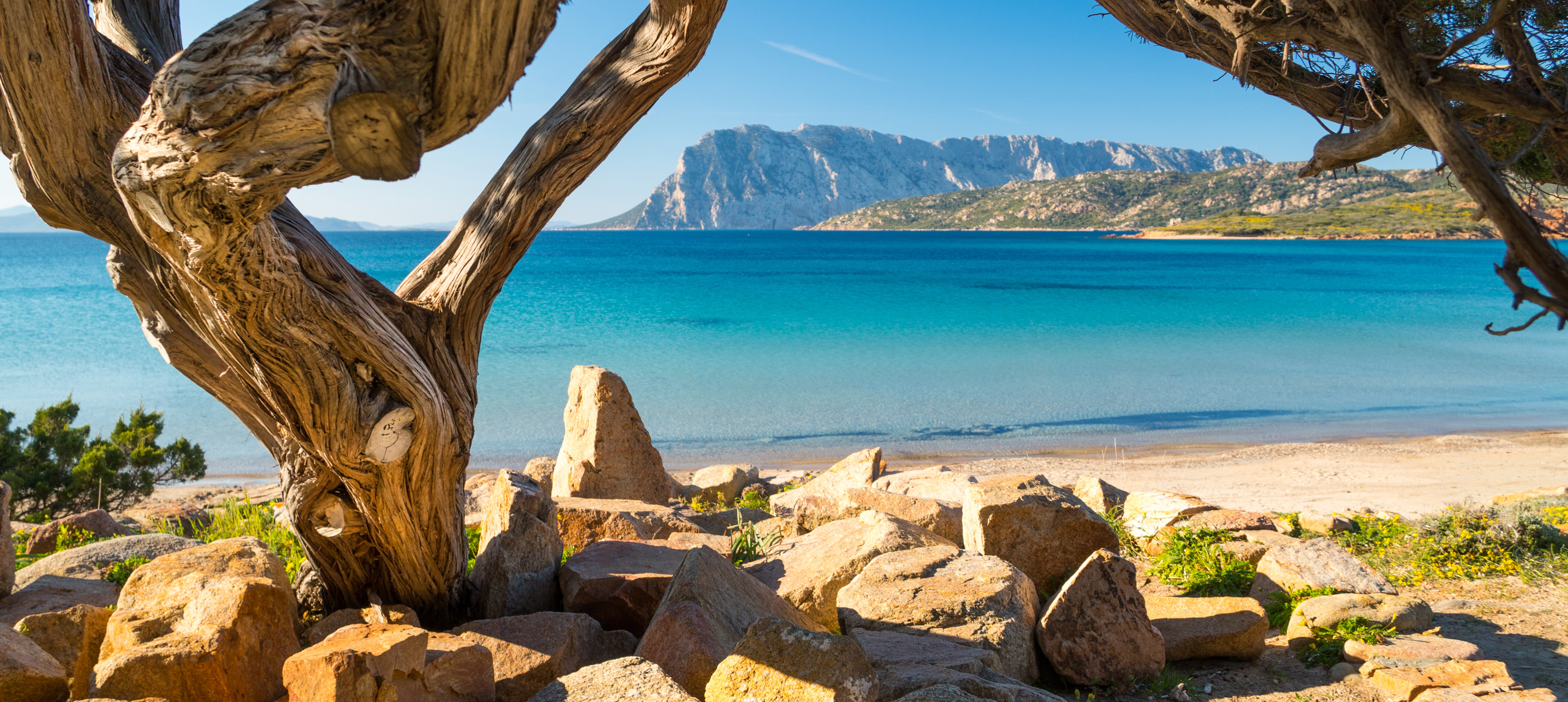 Capo Coda Cavallo mit Blick auf Isola Tavolara