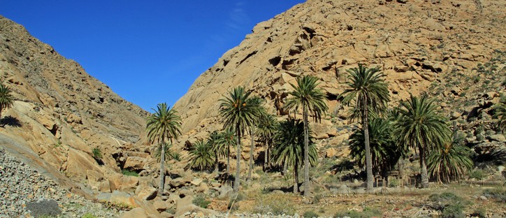 Im Tal von Buen Paso, eine Landschaft wie gemacht für einen Bibelfilm_Copyright Thilo Scheu