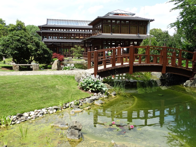 Der japanische Garten in Bad Langensalza (Foto: Heidi Schmitt)