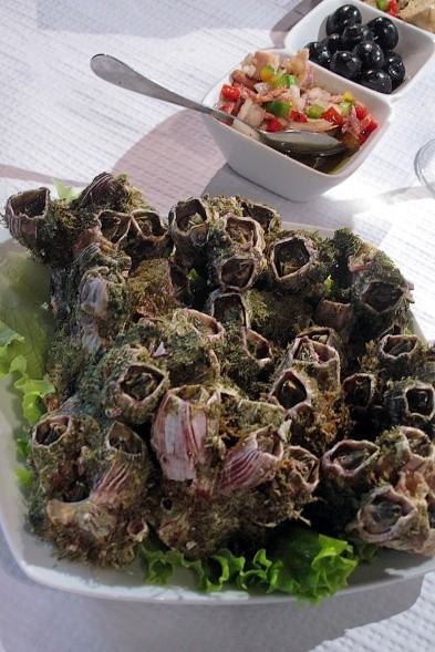 Seepocken, eine Delikatesse auf den Azoren. Unbedingt probieren, meint Michael Bussmann (Foto: Michael Bussmann)