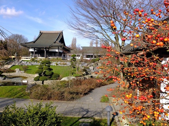 Im Garten einer der größten japanischen Communitys Europas (Foto: Annette Krus-Bonazza)