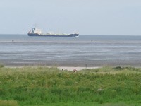 Ein Blick ins Wattenmeer