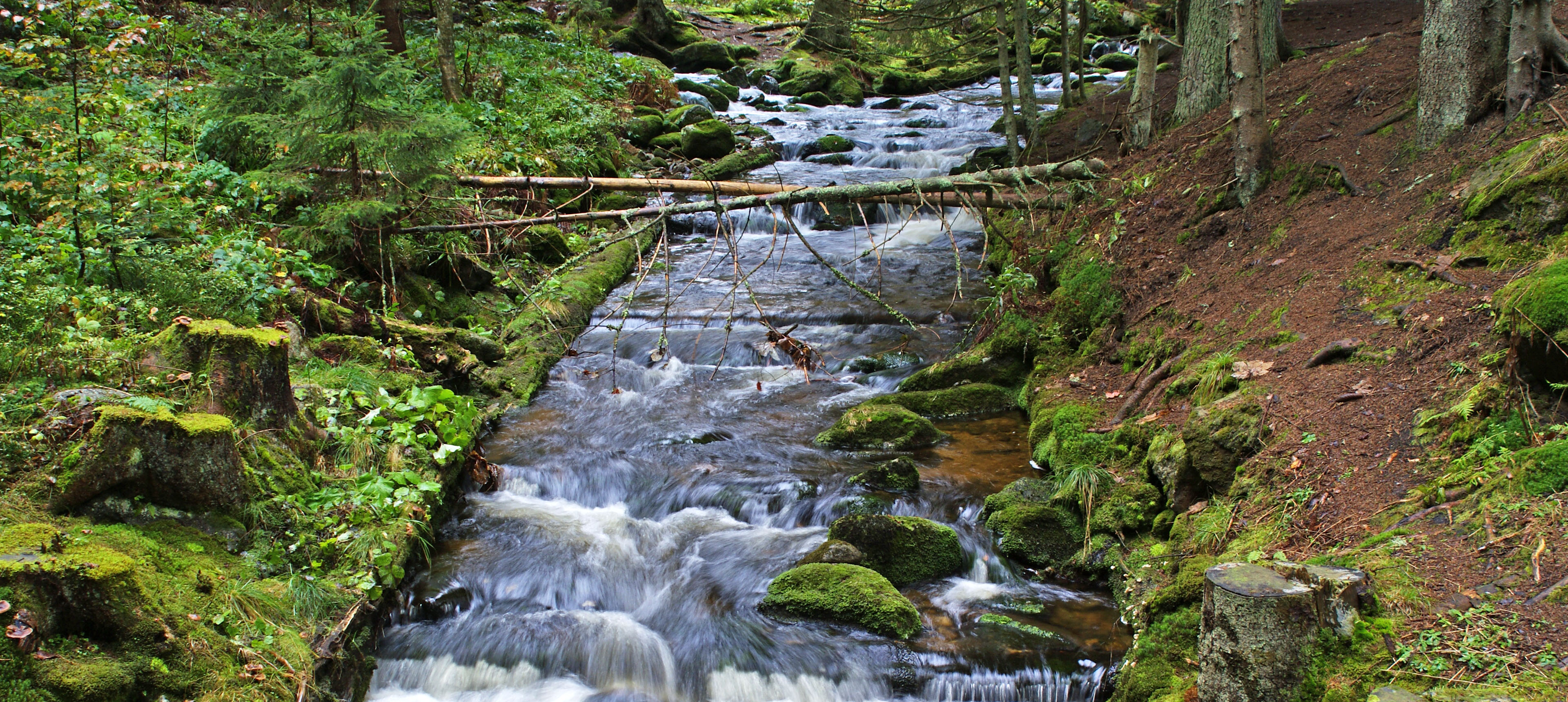 Wanderführer Bayerischer Wald Michael Müller Verlag