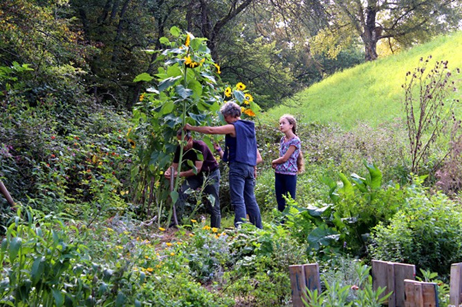 Sozialpädagogin Susanne Steuer-Lühr bei der Arbeit (Foto: Stephanie Aurelia Staab)