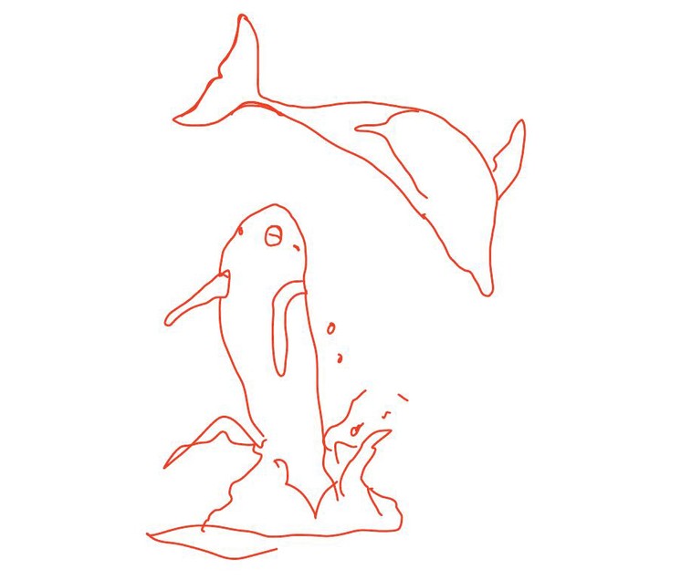 Teil 3 Das lange Warten auf die Rückenflosse