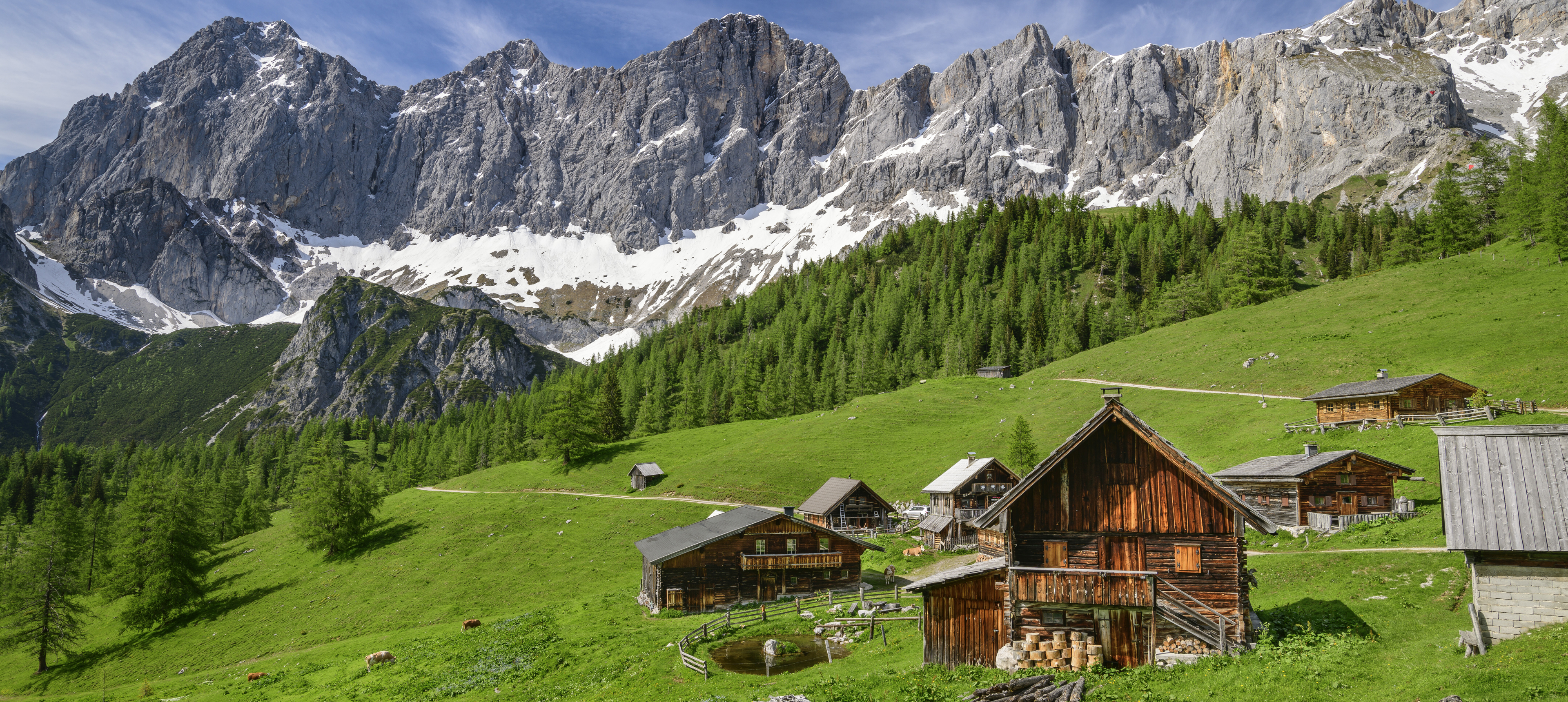 Hütte auf der Neustattalm
