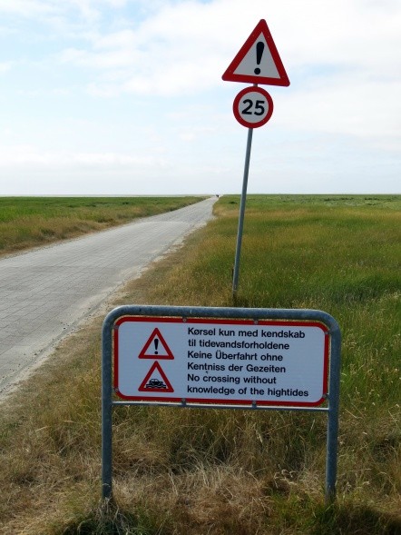 Auf die raue Schotterpiste nach Mandø sollte man sich nur mit aktuellen Informationen über die Gezeiten wagen. (Foto: Heidi Schmitt)