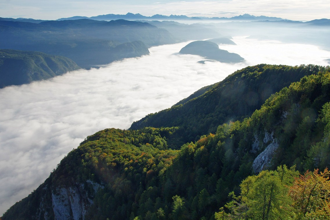 Das Wolkenmeer frühmorgens am Berg Vogel_Foto Lore Marr-Bieger