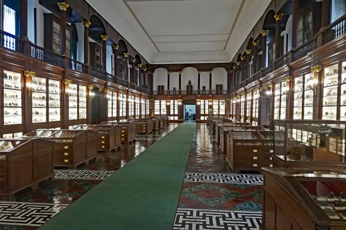Die Wunderkammer mit ihren Schaukästen, die dann doch nicht so wunderlich waren