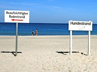 So geregelt ging es früher nicht zu am Sylter Weststrand